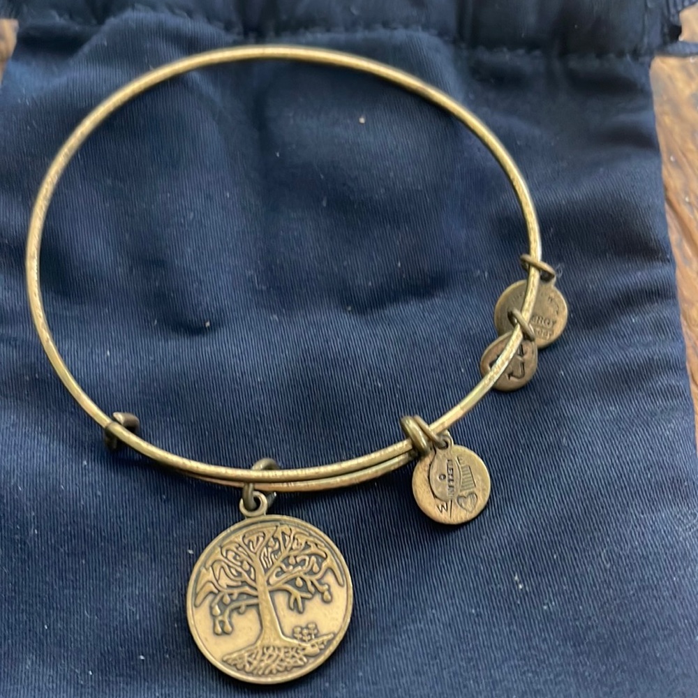 Alex and Ani. Tree of life bracelet